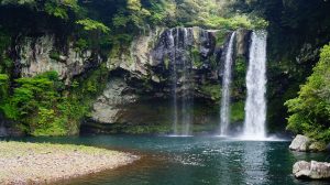 Rekreasi Alam Mandi di Hutan Korea Selatan