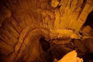Rekreasi Seru Ke Taman Nasional Gua Mammoth