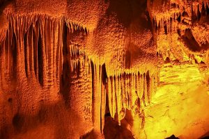 Rekreasi Seru Ke Taman Nasional Gua Mammoth