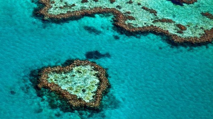 Pesona ke Indahan Dari Great Barrier Reef, Australia